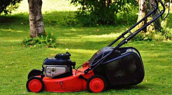 How to Choose the Best Grass Cutters for Your Garden