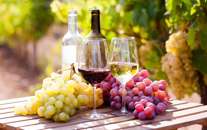 12-types-of-grapes-that-make-great-wine