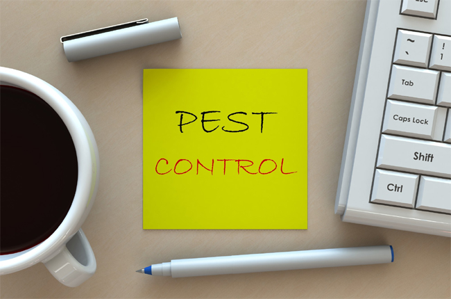 7-benefits-of-pest-control-to-consider-for-new-homeowners