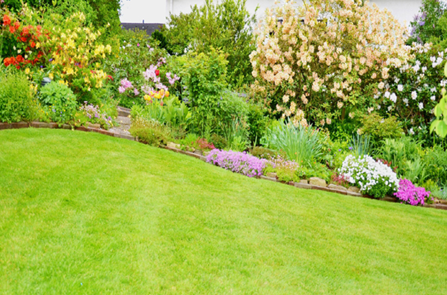 5 Pro Tips For Beautiful Landscaping Success