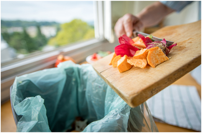 Sustainability In The Kitchen - Protecting Your Family And The Environment