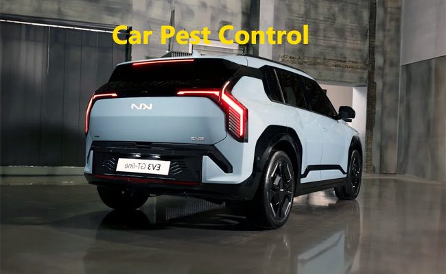 Expert Car Pest Control in Sydney: Safely Eliminate Ants, Spiders, and Cockroaches